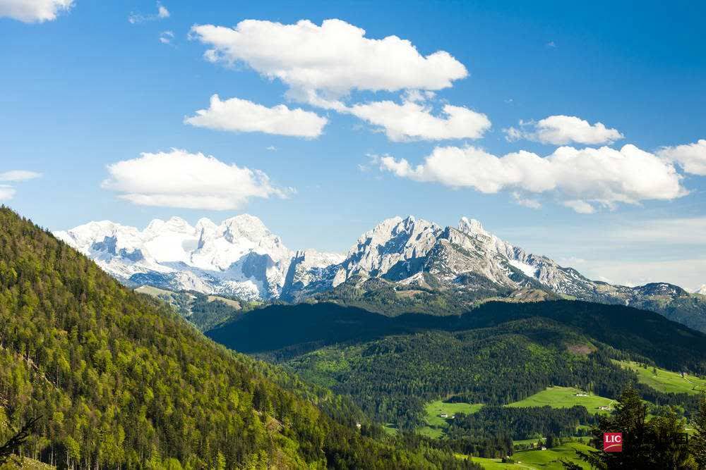 2-1Z91912003X00.jpg 2-1Z91912003X00.jpg