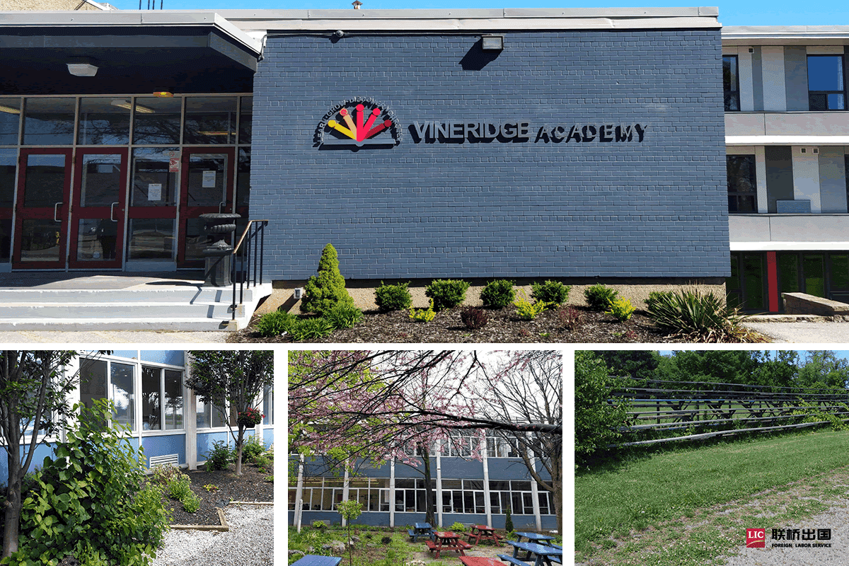 2-1Z924135P3W8.png 2-1Z924135P3W8.png