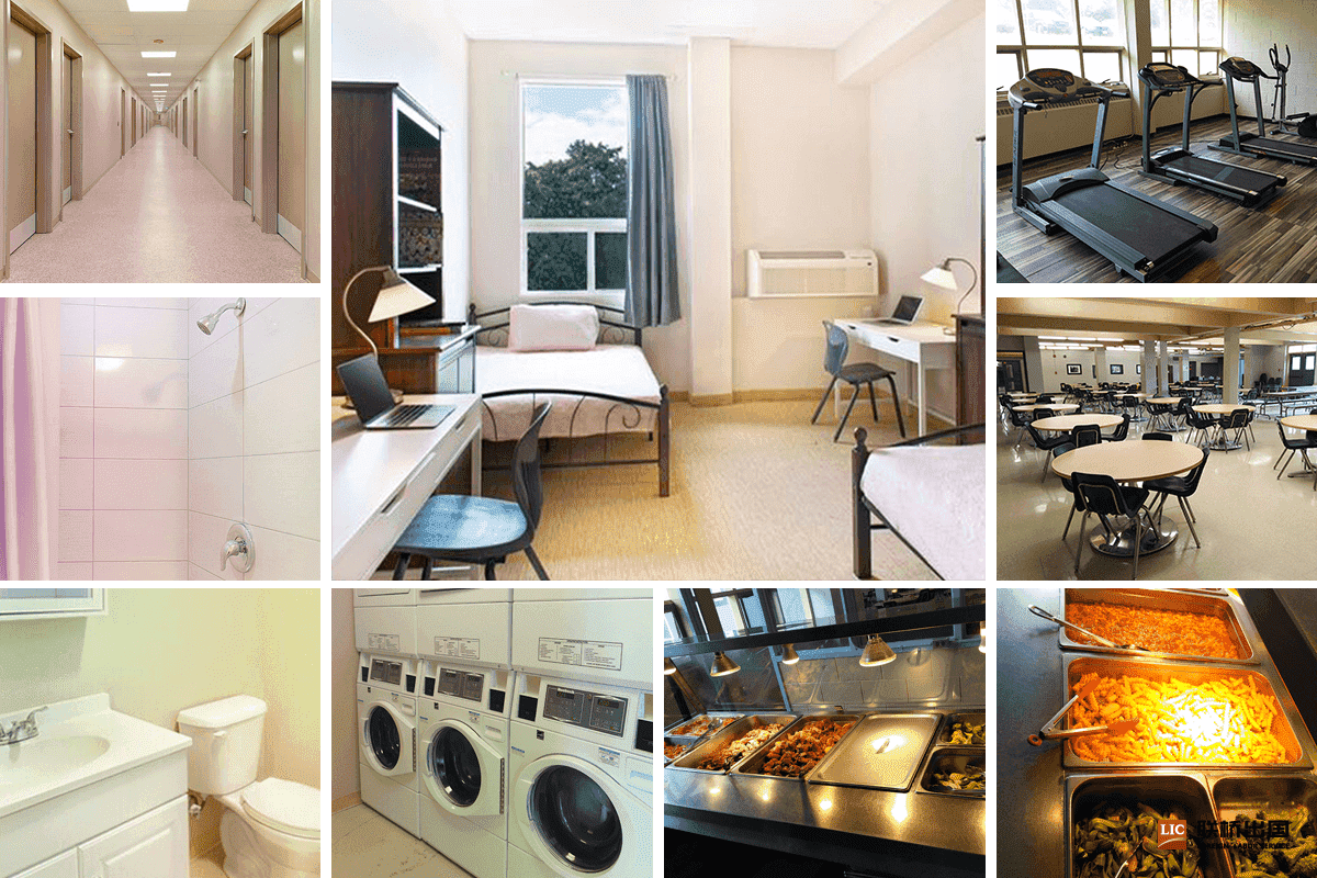 2-1Z92414155RG.png 2-1Z92414155RG.png