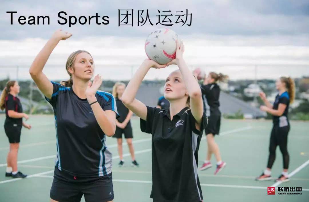 2-1910091515433Q.jpg 2-1910091515433Q.jpg